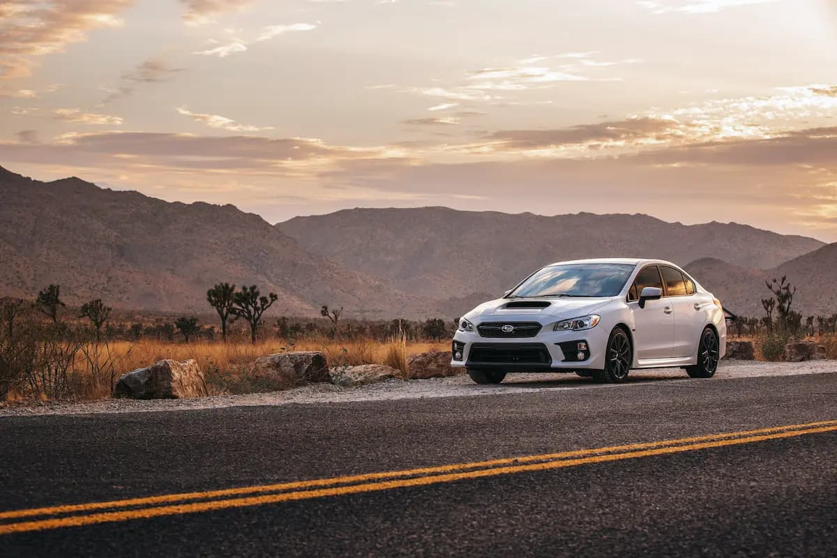 Subaru car driving on a tree-lined road